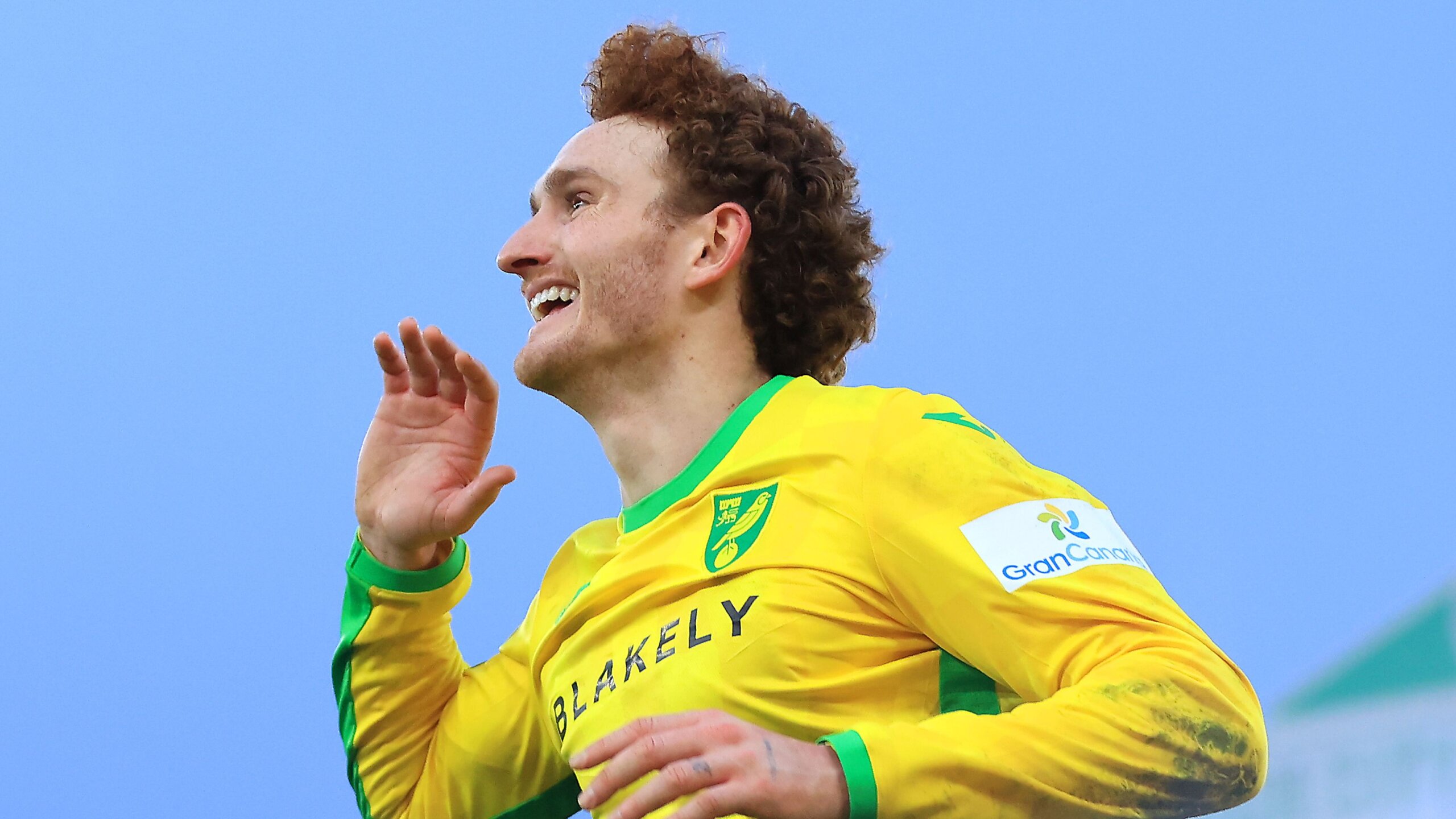 1 Josh Sargent transfer
