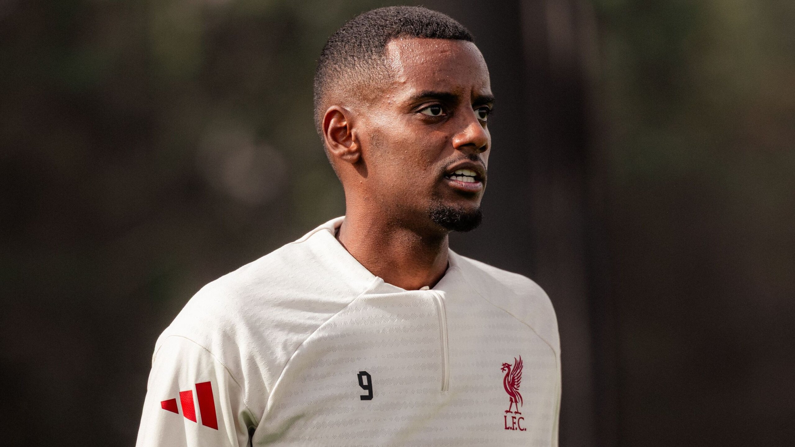 Alexander Isak Transfer: Slot Confident in Liverpool’s Record Signing 2 GettyImages 2234683177 scaled
