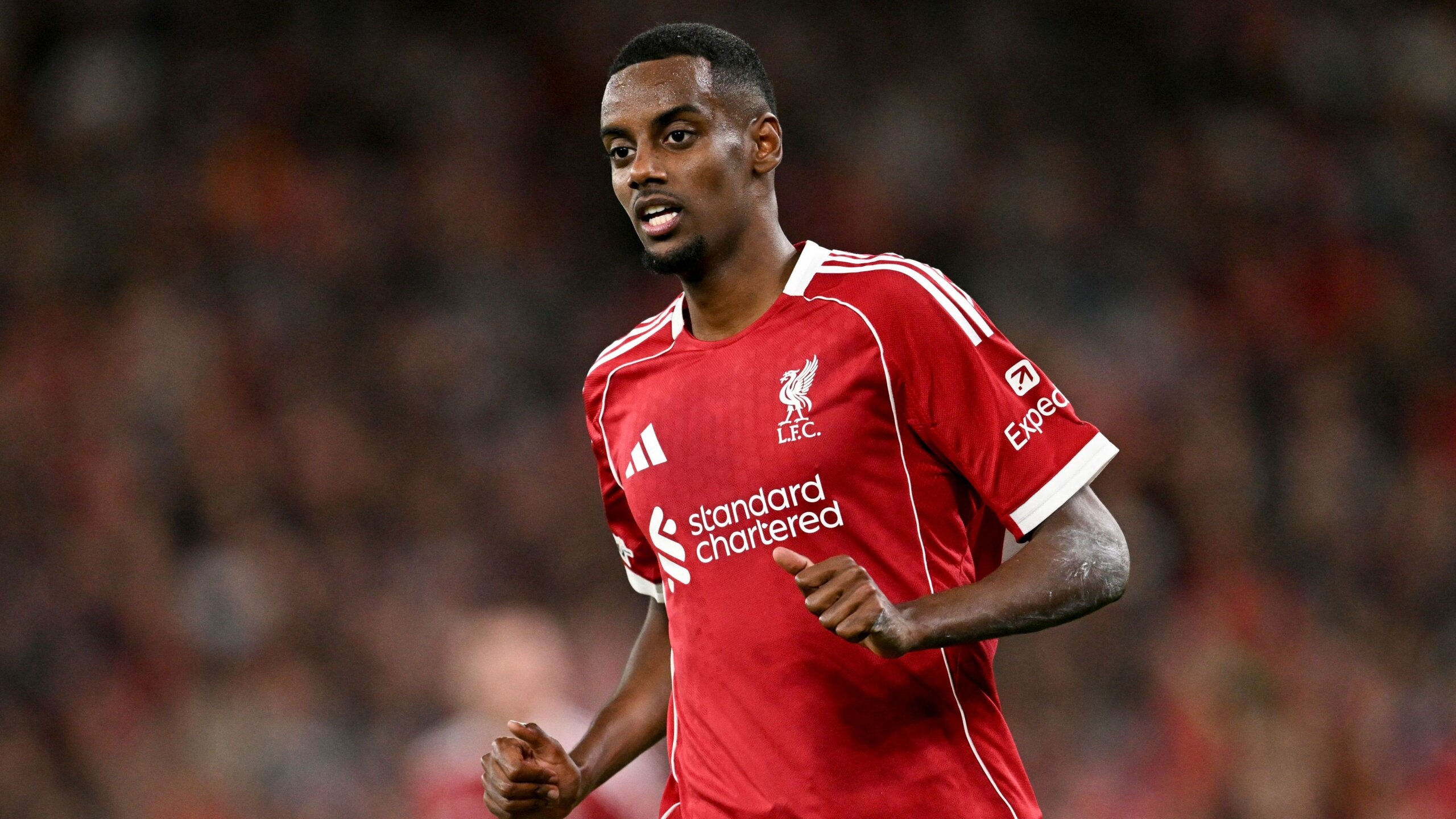 Alexander Isak Backed by Arne Slot After Liverpool Loss 5 GettyImages 2235422284 scaled