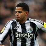 Newcastle United’s Missed Opportunity: William Osula Transfer Collapse Explained 2 GettyImages 2237284284