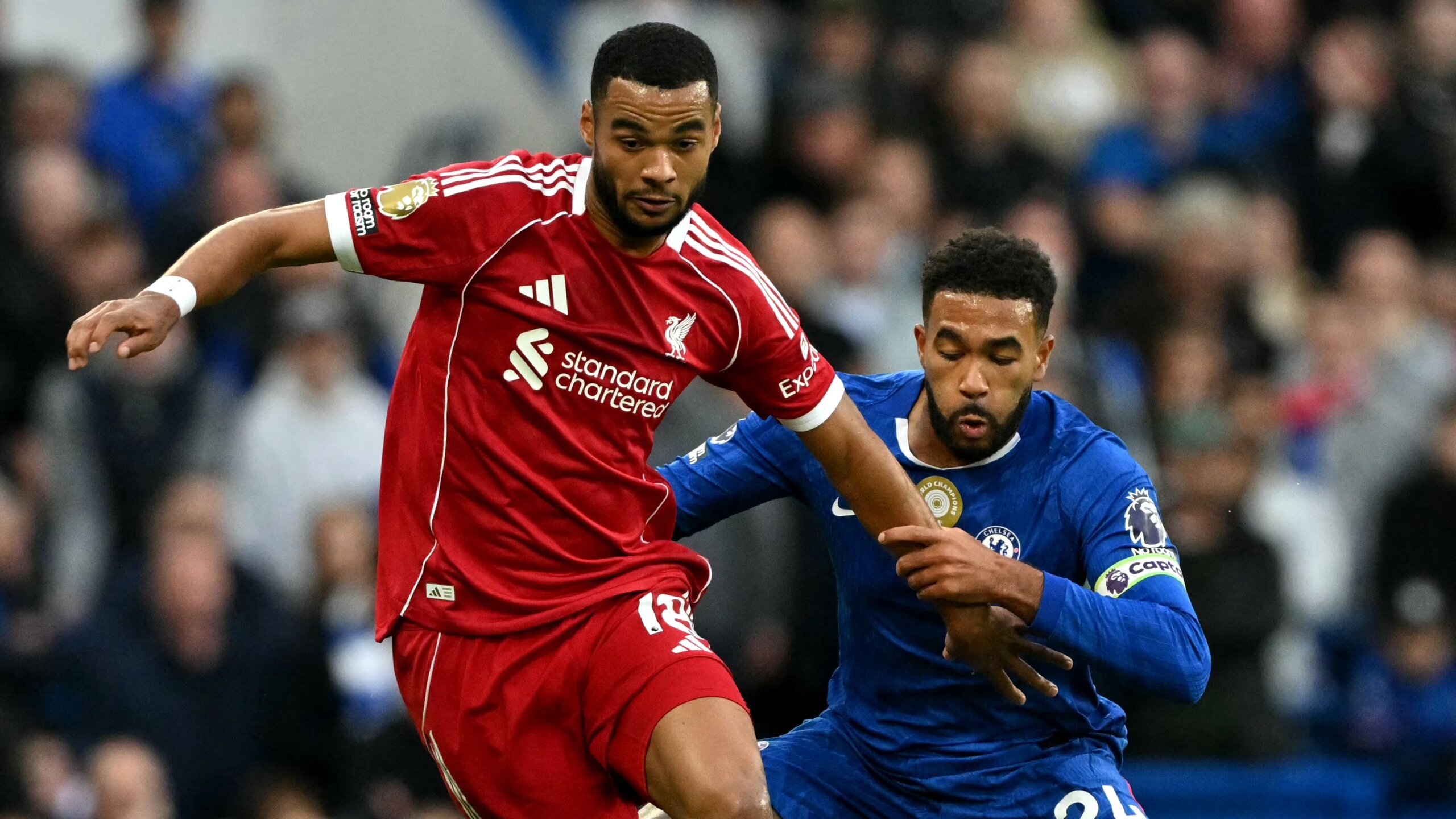 Liverpool’s Defeat to Chelsea Leaves Cody Gakpo Frustrated 1 GettyImages 2238799871 scaled
