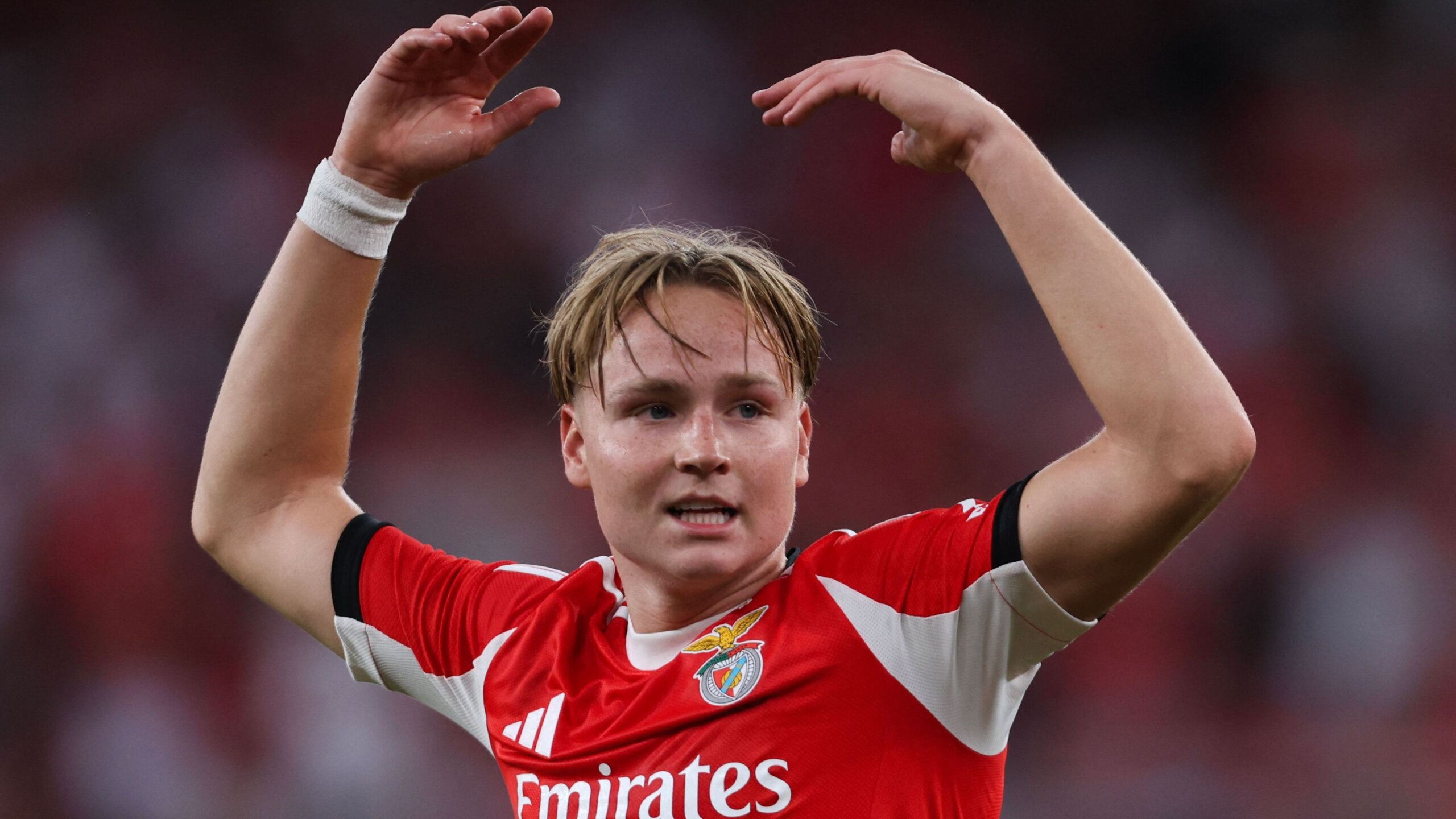 Benfica Star Andreas Schjelderup Admits Likely Conviction for Illegal Video 1 GettyImages 2229056334 scaled