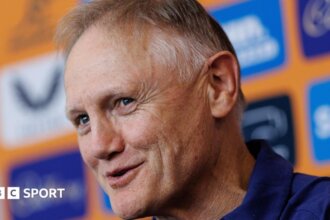 Joe Schmidt rules out Leinster return after Australia exit 4 bc23e9d0 761f 11f1 8c8c f987daa96c22