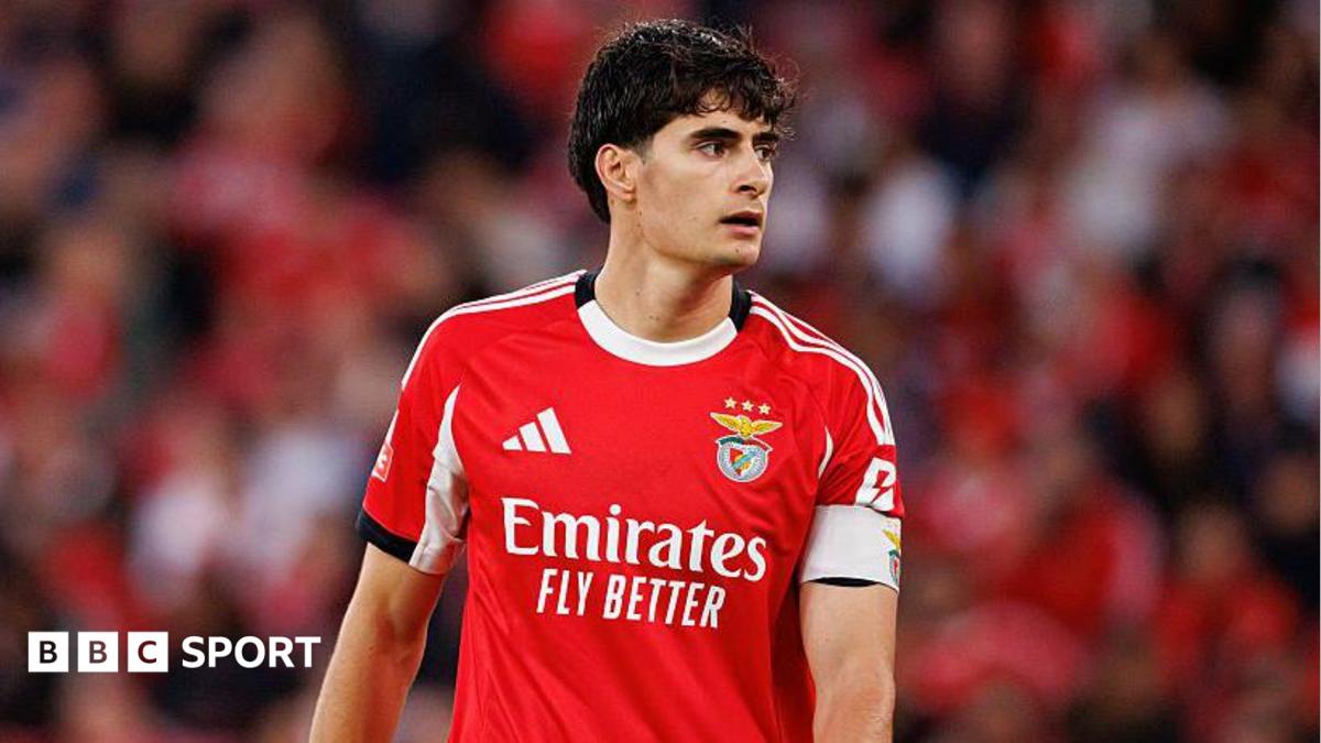 Bournemouth hold talks with Benfica over Antonio Silva as Senesi replacement 1 f769cfb0 8028 11f1 8ae2 1d238eb2d791
