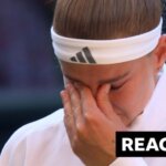 Karolina Muchova vows to fight back after Wimbledon final defeat to Linda Noskova 2 f8b4b2c0 7d55 11f1 b976 0b9c15b0ccfc